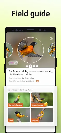 Picture Bird Screenshot2