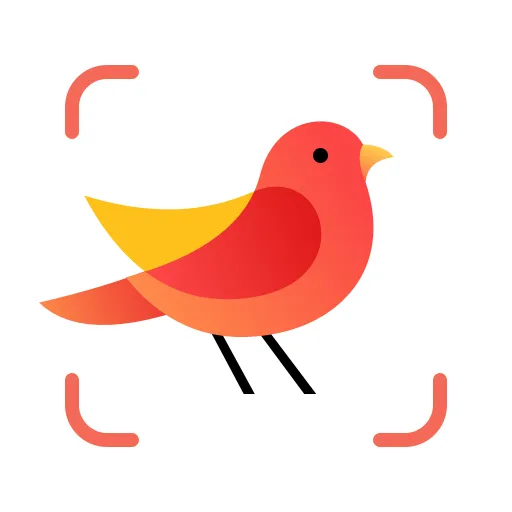 Picture Bird APK