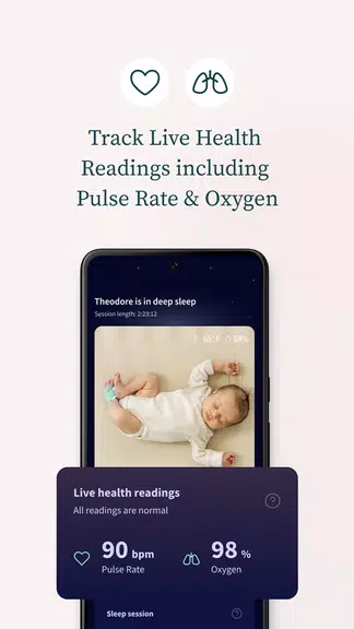 Owlet Dream Screenshot3