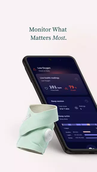 Owlet Dream Screenshot1