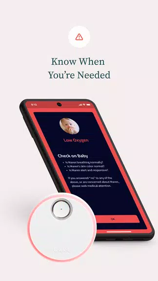 Owlet Dream Screenshot4