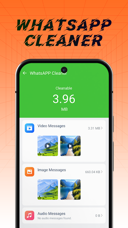 Facile Cleaner Screenshot1