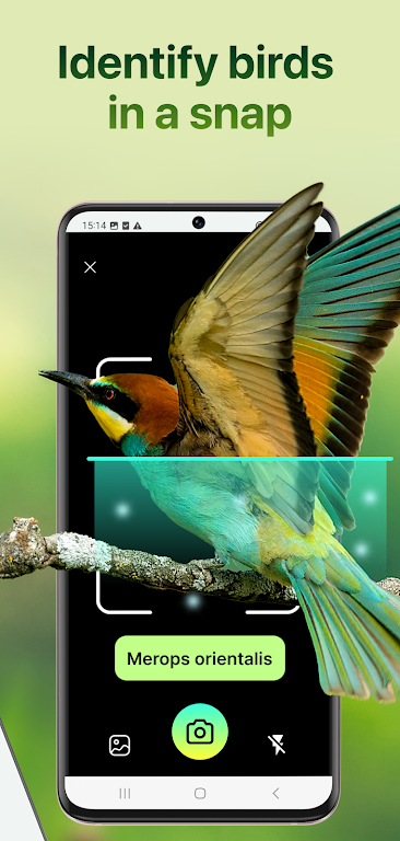 Bird Identifier: Sound Bird ID Screenshot3