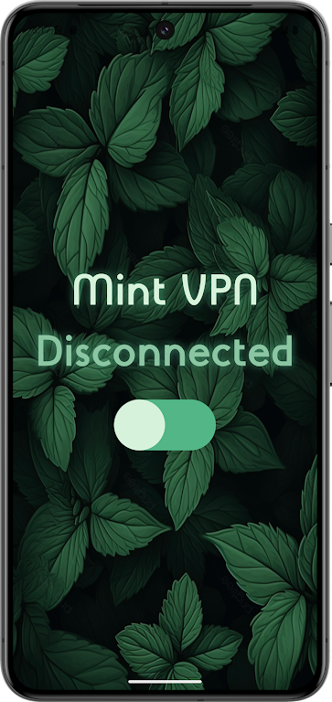 Mint - The Fastest VPN Screenshot1