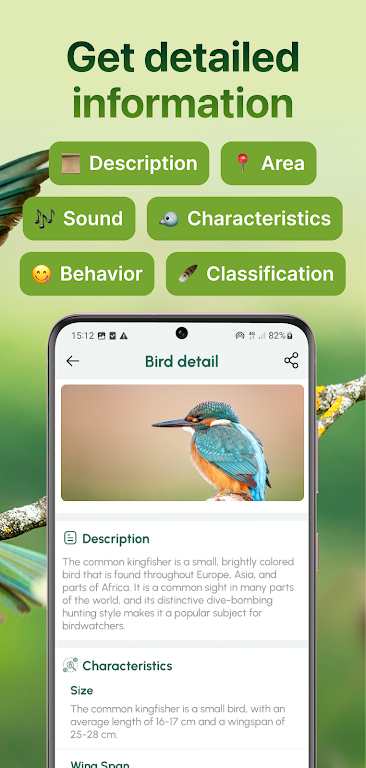 Bird Identifier: Sound Bird ID Screenshot4