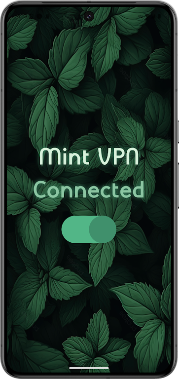 Mint - The Fastest VPN Screenshot2