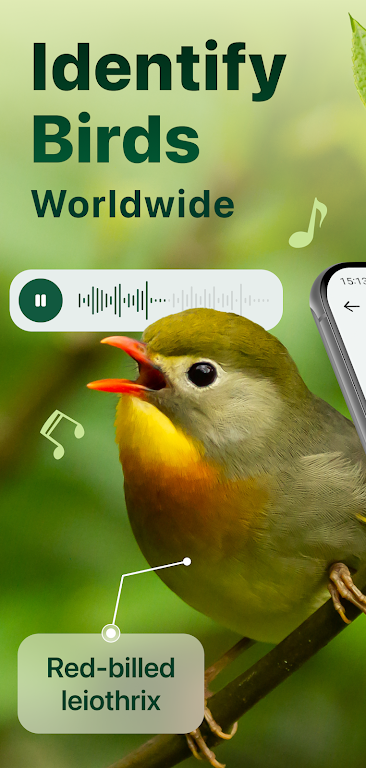 Bird Identifier: Sound Bird ID Screenshot1