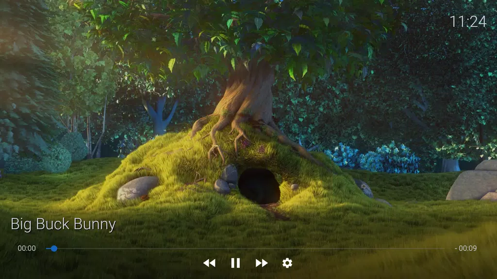 X3M Player Screenshot2