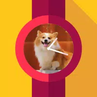 Photo Watch Maker Tizen WearOS APK