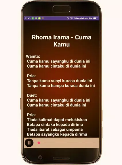 Rhoma Irama lagu + lirik Screenshot2