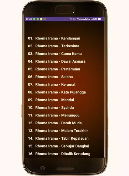 Rhoma Irama lagu + lirik Screenshot3