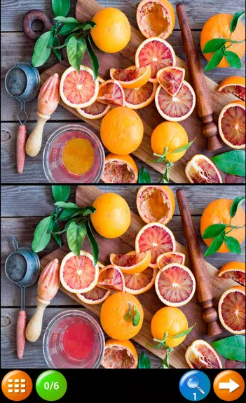 Find 6 Differences Screenshot4