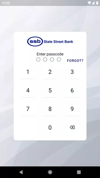 State Street Bank Screenshot1
