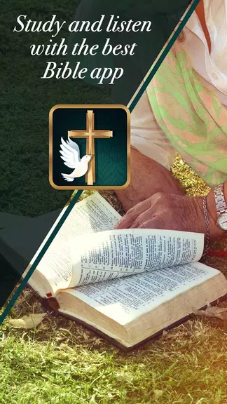 Nowsite Marketing Screenshot2