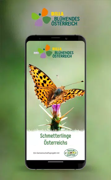 Schmetterlinge Österreichs Screenshot1