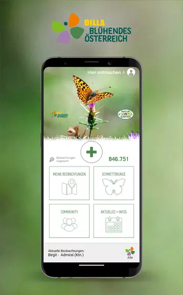 Schmetterlinge Österreichs Screenshot2