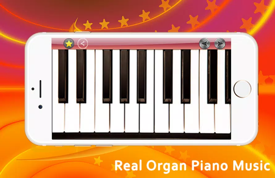 Real Organ Piano Music Screenshot2