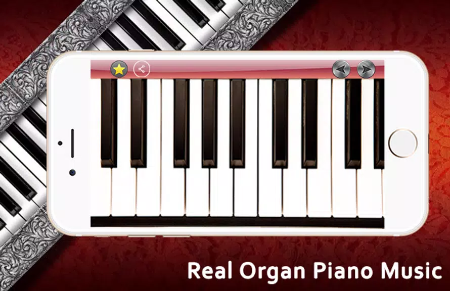 Real Organ Piano Music Screenshot1