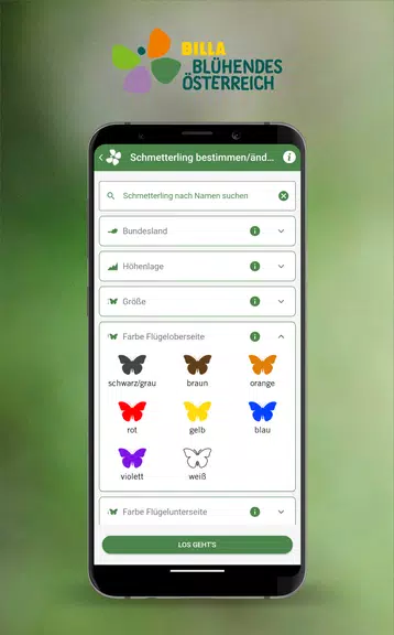 Schmetterlinge Österreichs Screenshot4