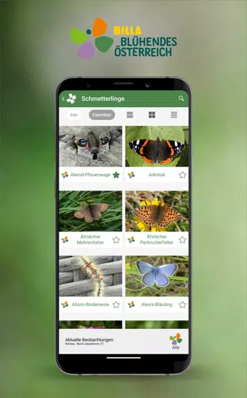 Schmetterlinge Österreichs Screenshot3