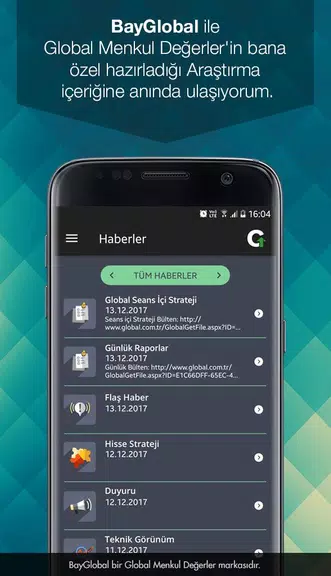 BayGlobal Screenshot1