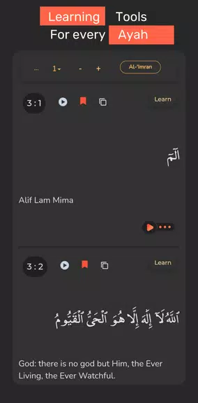 QuranHive Screenshot2