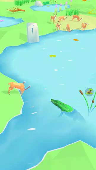 Animal Wildlife Screenshot1