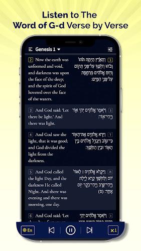 Hebrew Bible Study Translation Screenshot4