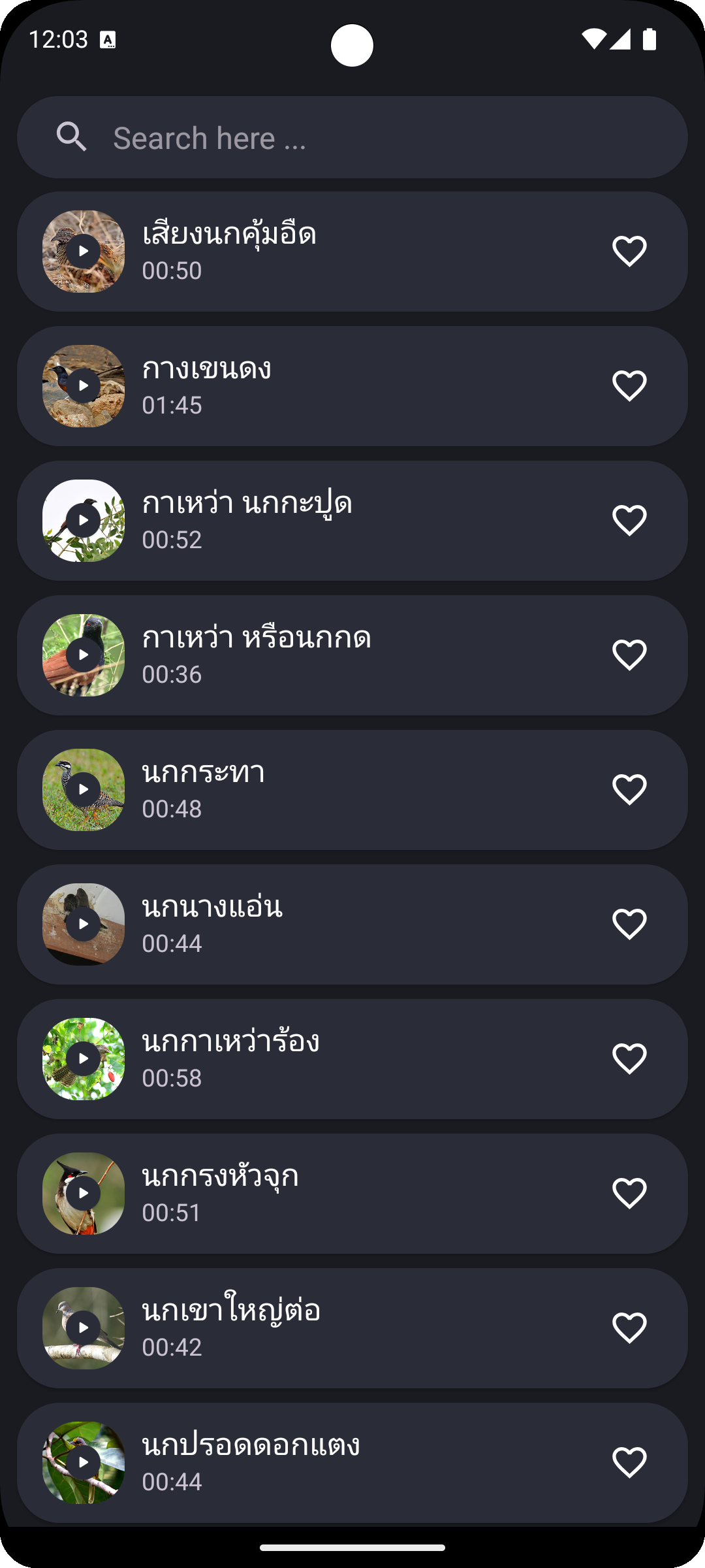 Red Junglefowl and Bird Sounds Screenshot4