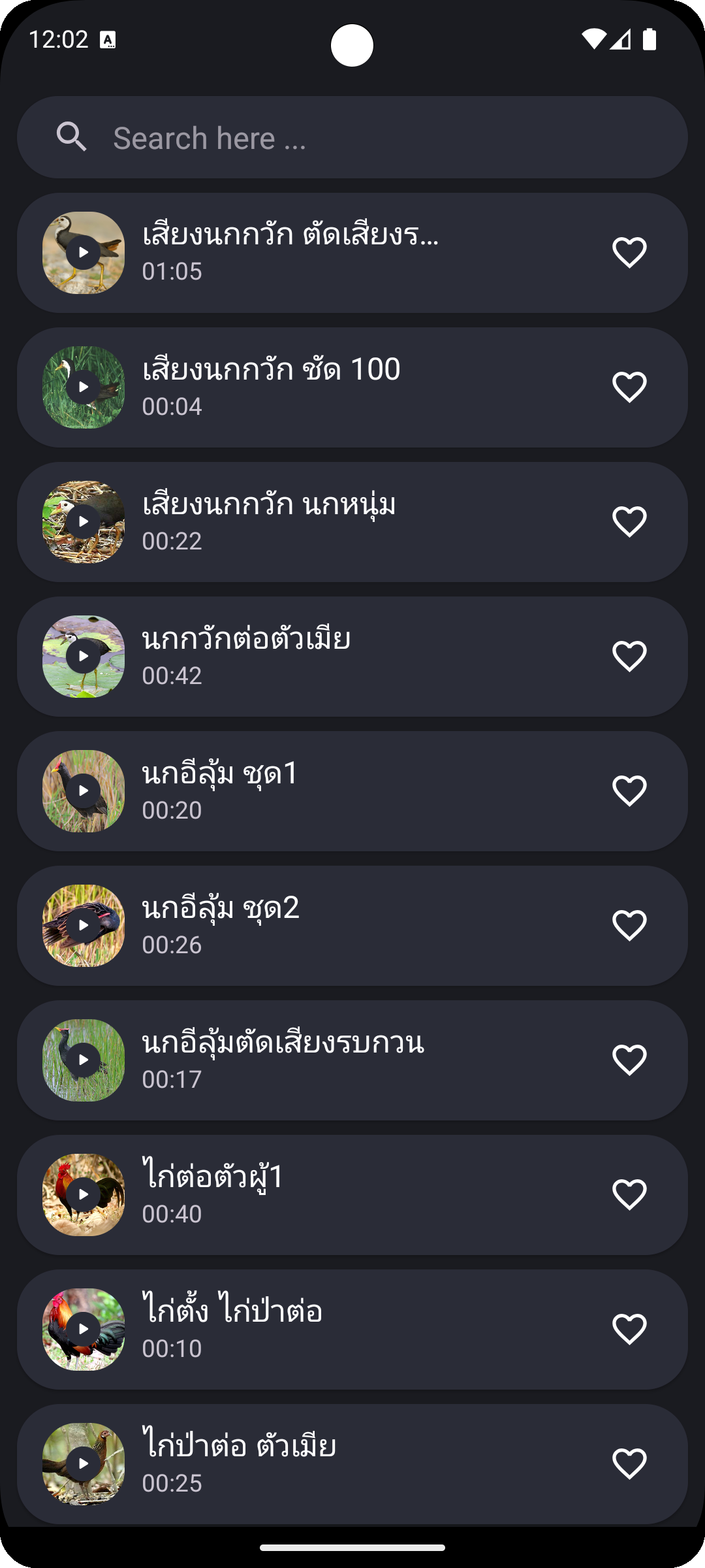 Red Junglefowl and Bird Sounds Screenshot3