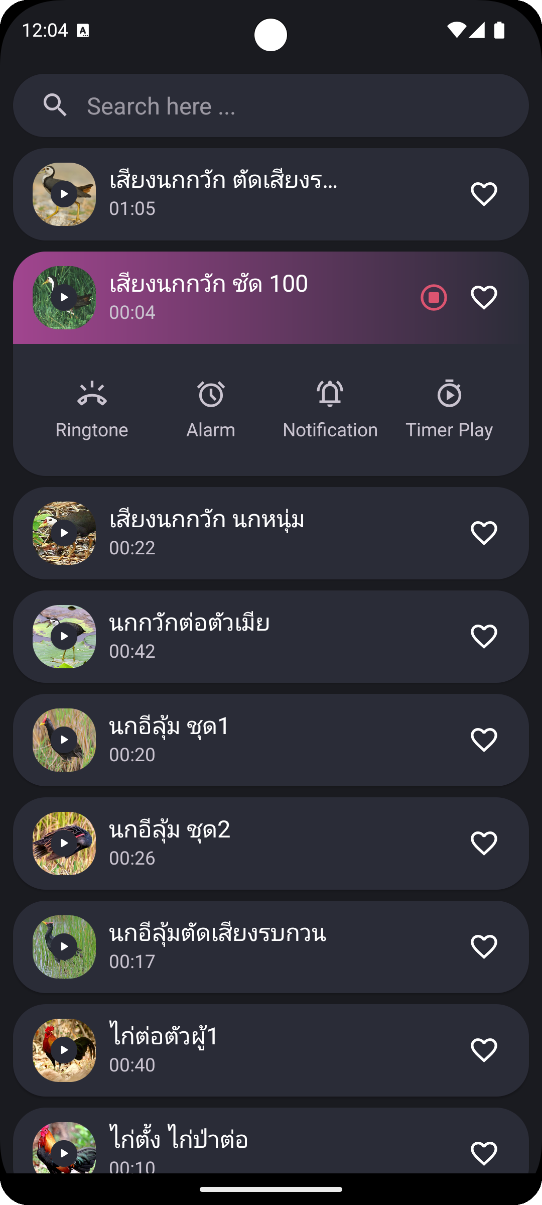 Red Junglefowl and Bird Sounds Screenshot2