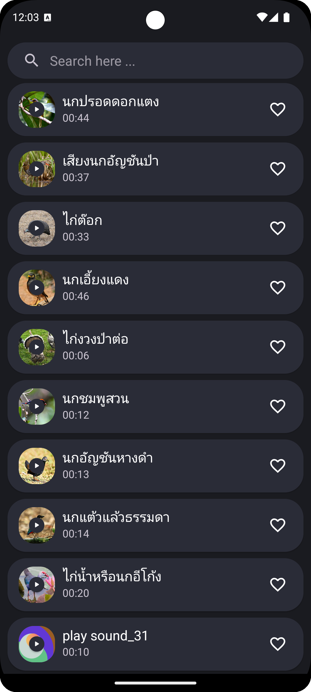 Red Junglefowl and Bird Sounds Screenshot5