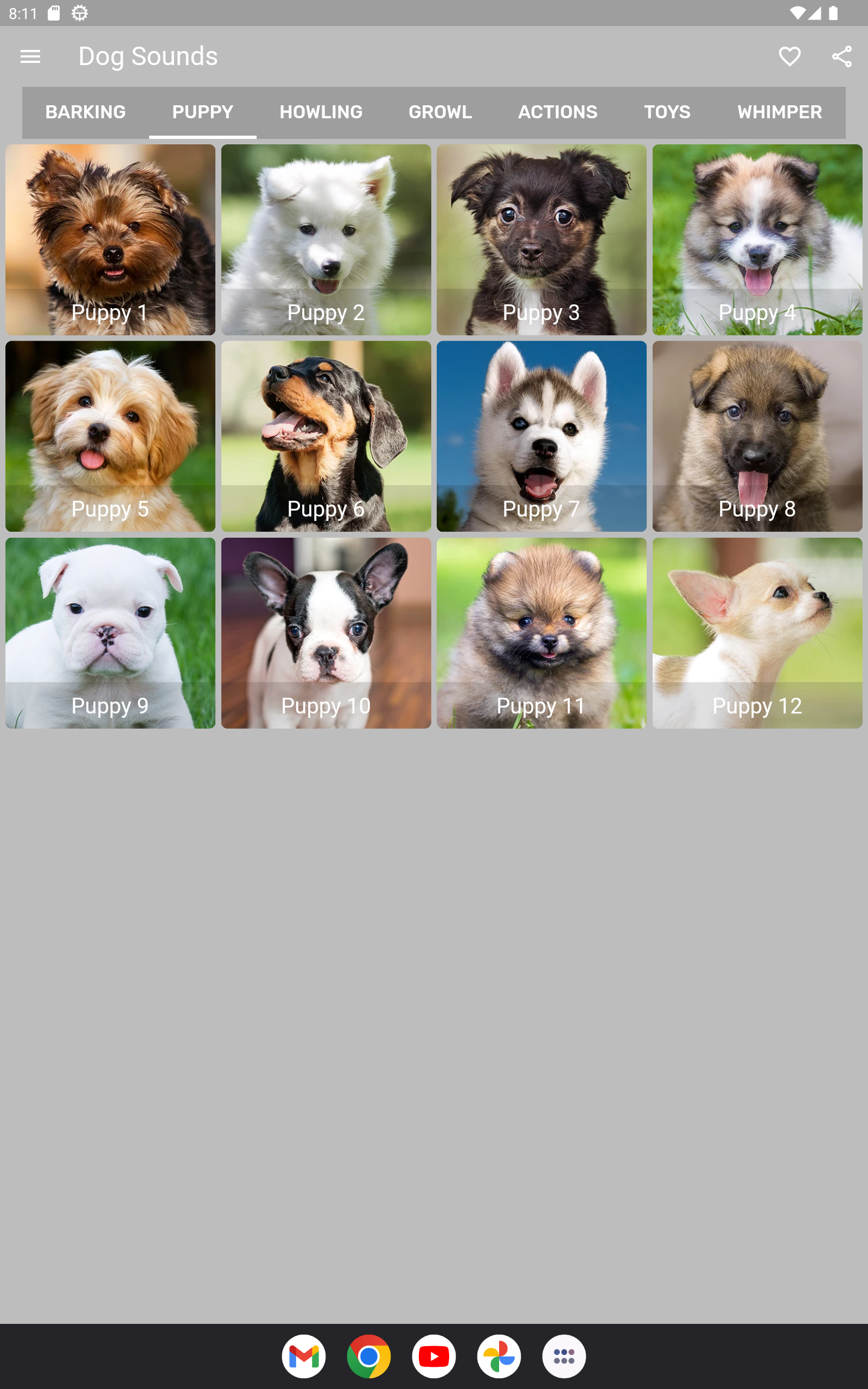 Dog Sounds Screenshot10