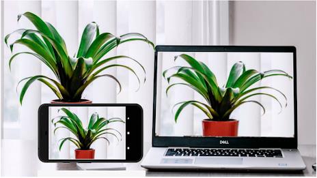 Iriun 4K Webcam for PC and Mac Screenshot2