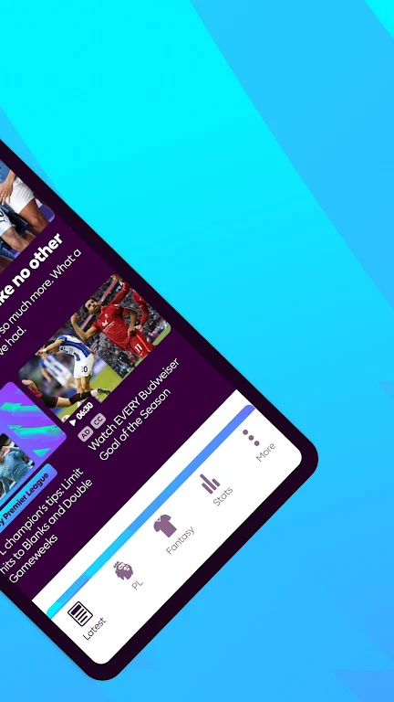 Premier League Screenshot2