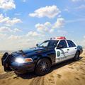 US Police Car Chase Driving 3D APK