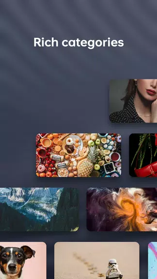 ColorOS Pictorial Screenshot4