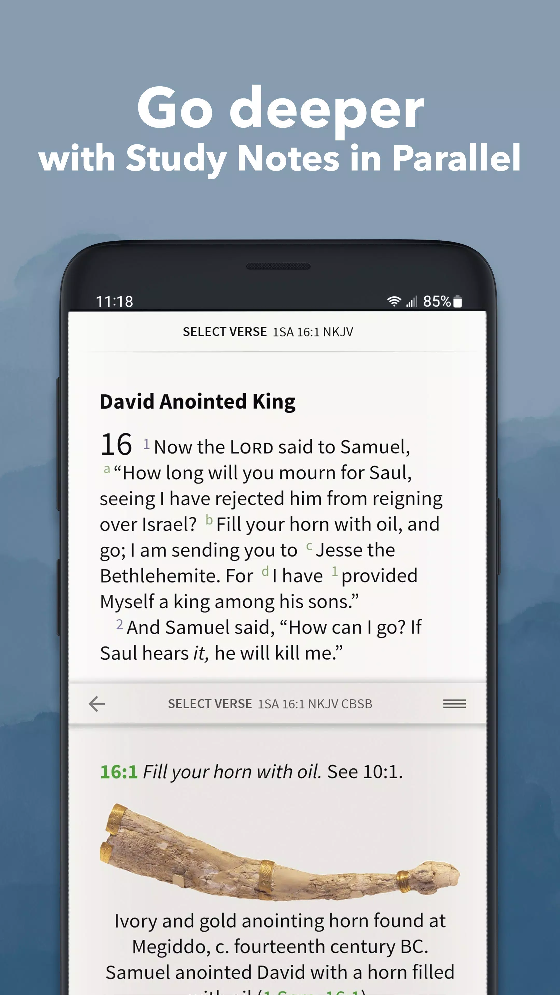 NKJV Bible App by Olive Tree Screenshot2