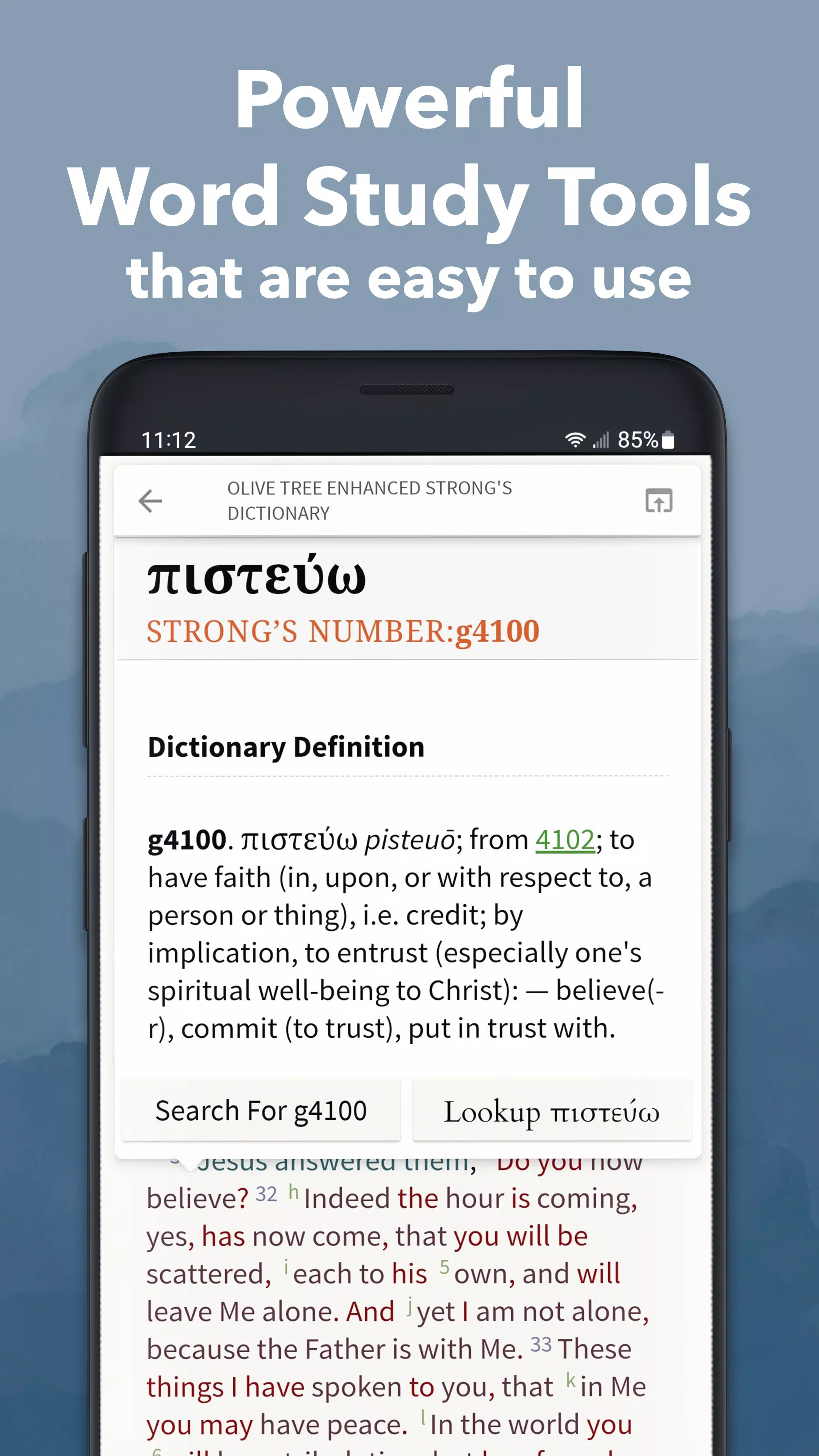 NKJV Bible App by Olive Tree Screenshot4