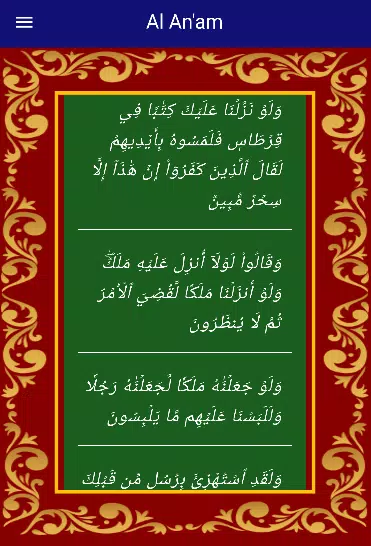 All Quranic Surahs Screenshot3