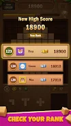 Block Puzzle Wood Screenshot6