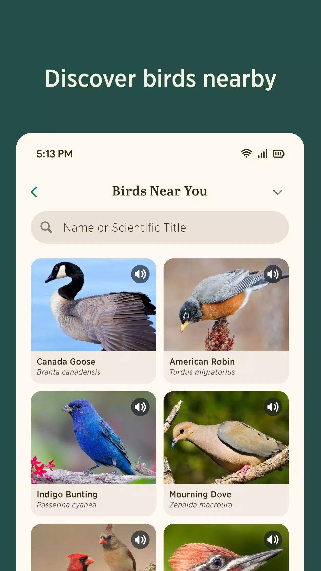 Audubon Bird Guide Screenshot5