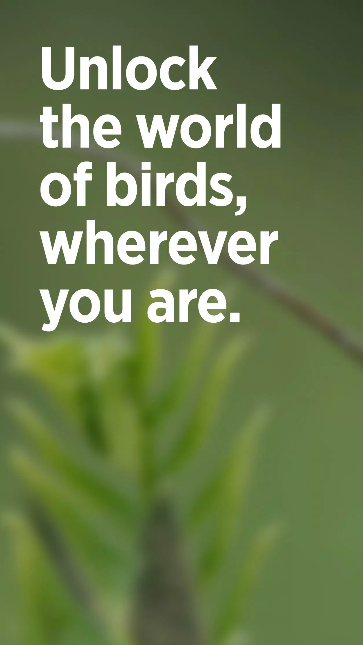 Audubon Bird Guide Screenshot1