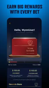 WynnBET Casino Screenshot5