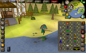 Old School RuneScape Screenshot14
