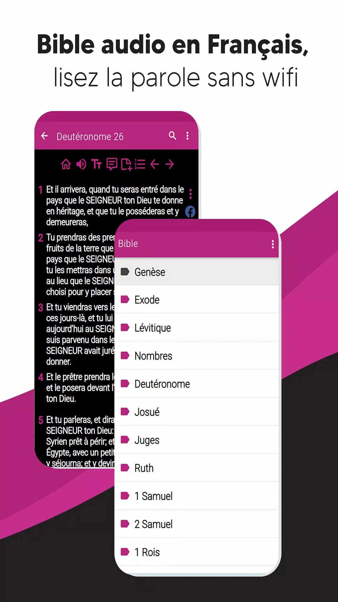 Bible audio en Français Screenshot4