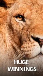 LeoVegas Casino Screenshot2