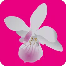 White Orchids Slots APK