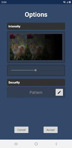 Lock touch screen for video Screenshot2