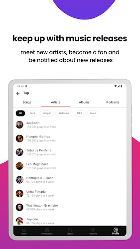 Palco MP3 Screenshot19